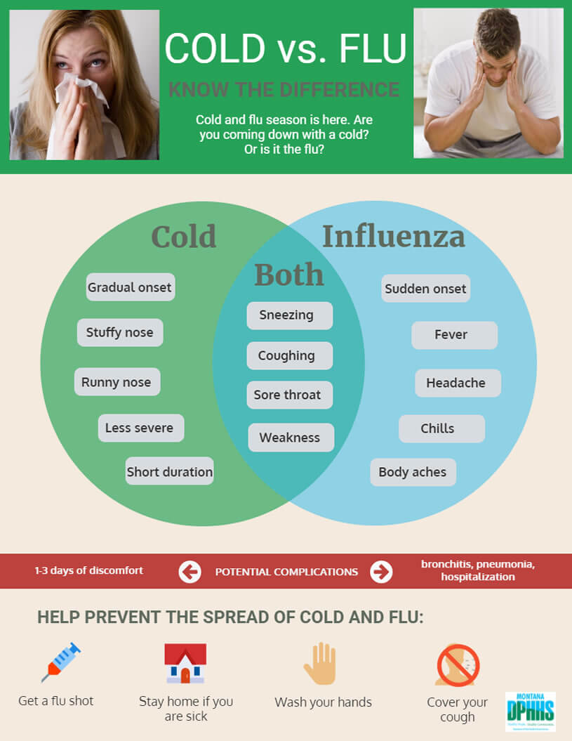 Cold Vs Flu Infographic Shared By Wairau Pharmacy
